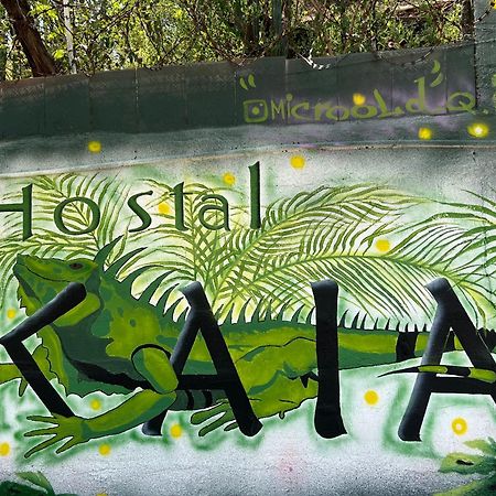 Hostal Kaia ซันตามาร์ตา ภายนอก รูปภาพ