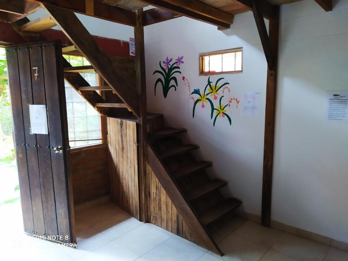 Hostal Kaia ซันตามาร์ตา ภายนอก รูปภาพ