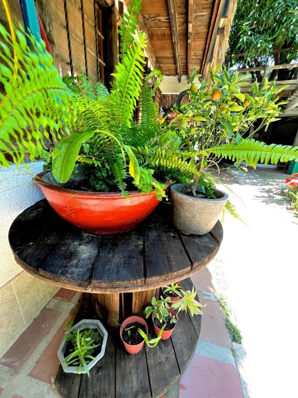 Hostal Kaia ซันตามาร์ตา ภายนอก รูปภาพ