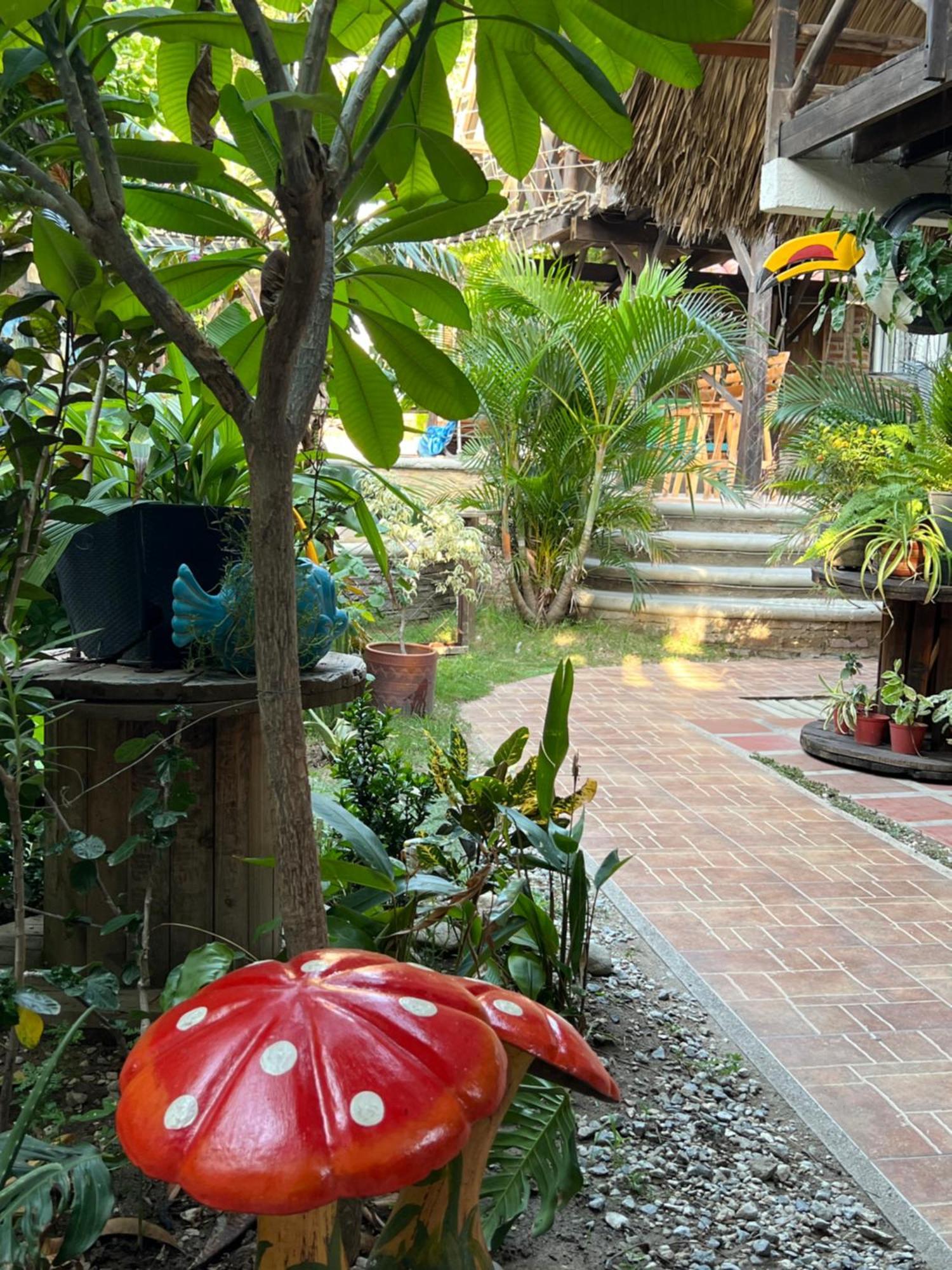 Hostal Kaia ซันตามาร์ตา ภายนอก รูปภาพ