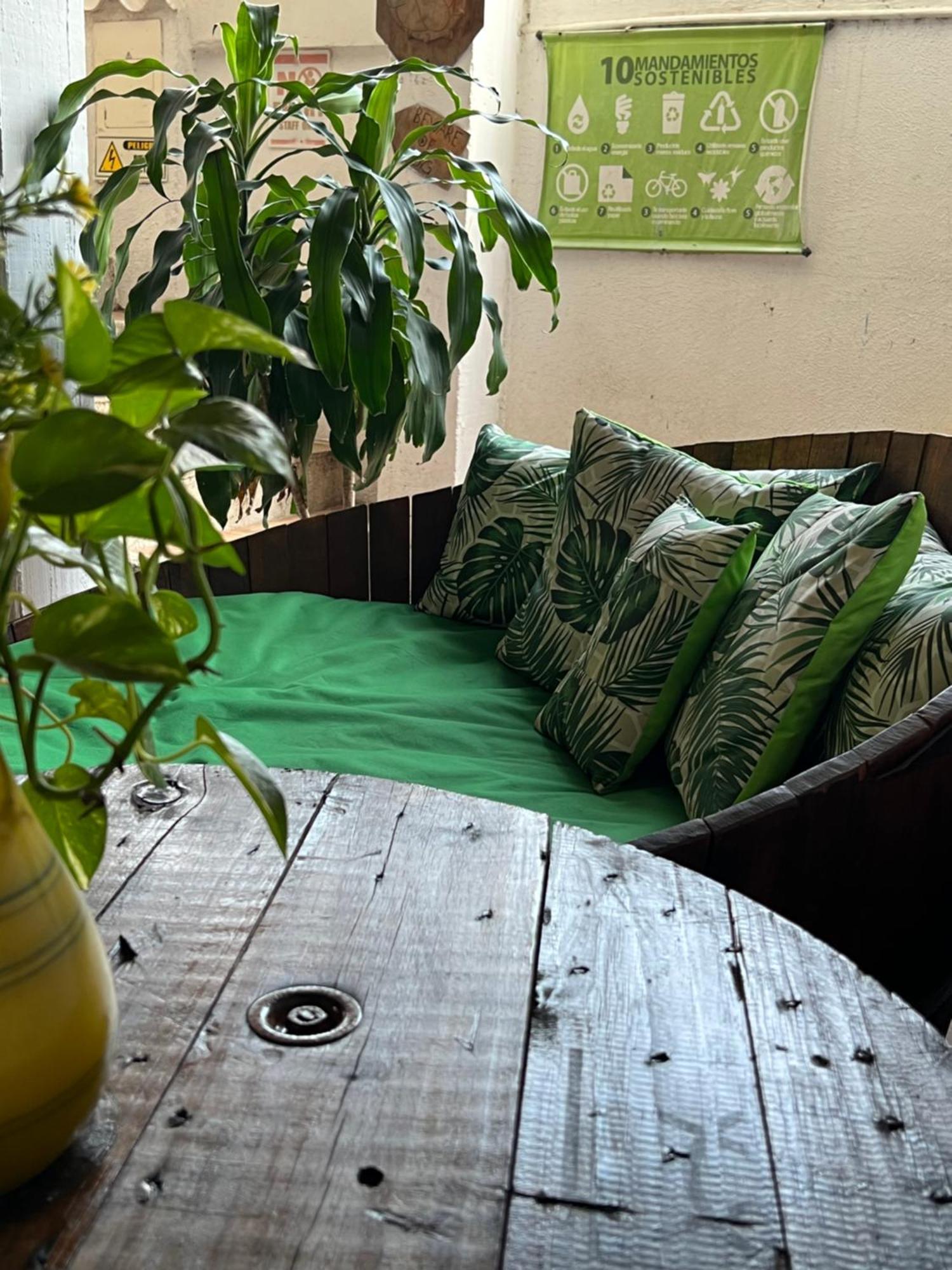 Hostal Kaia ซันตามาร์ตา ภายนอก รูปภาพ