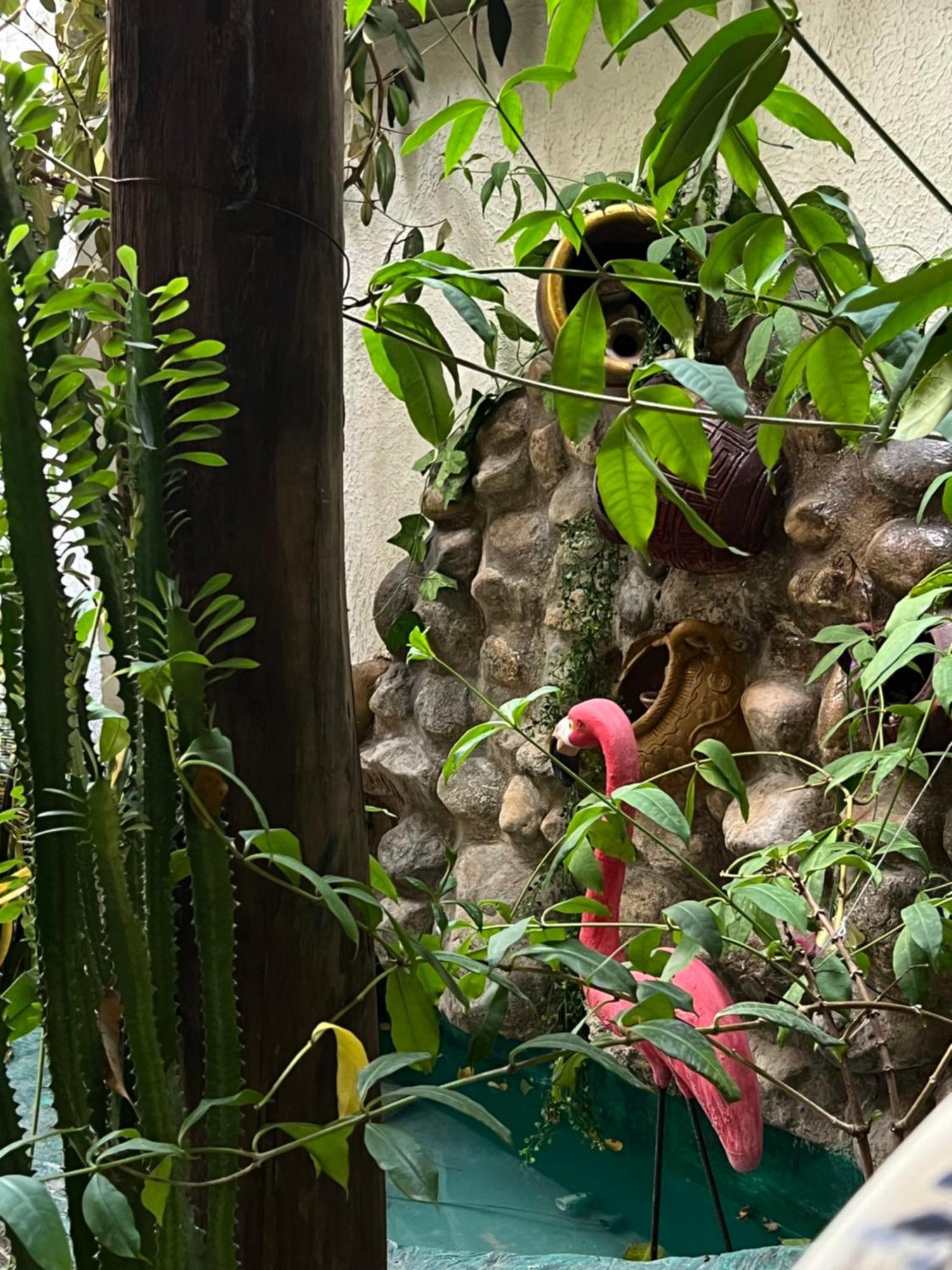 Hostal Kaia ซันตามาร์ตา ภายนอก รูปภาพ