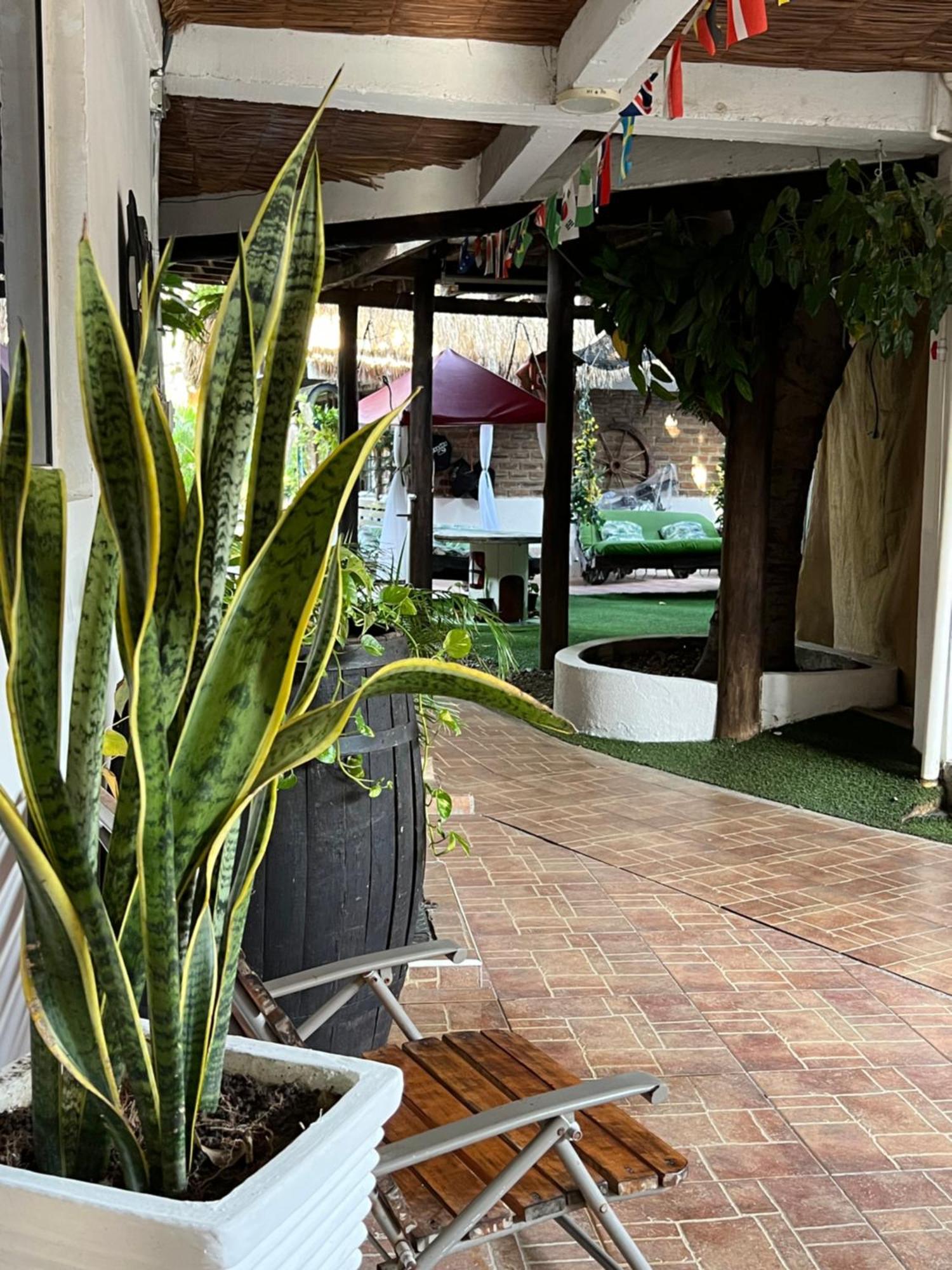 Hostal Kaia ซันตามาร์ตา ภายนอก รูปภาพ