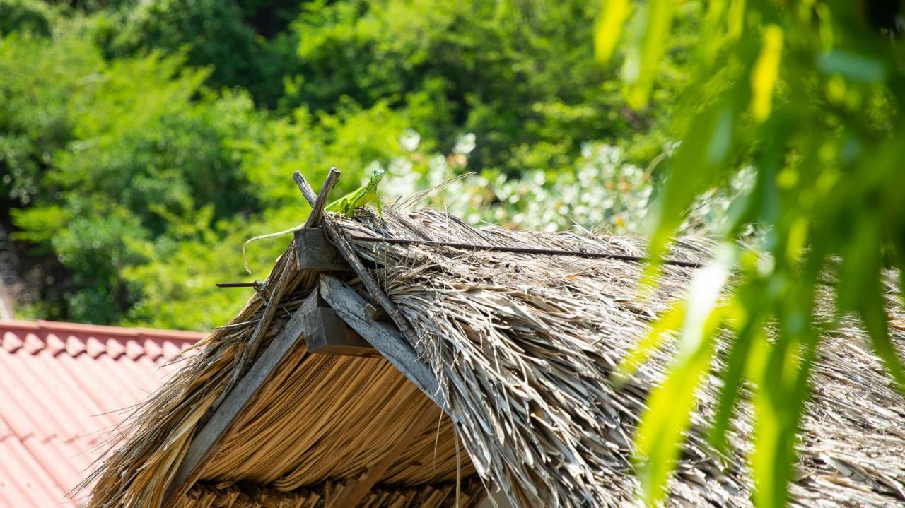 Hostal Kaia ซันตามาร์ตา ภายนอก รูปภาพ